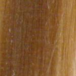 L'Oréal Professionnel Majirel 10 NATURAL