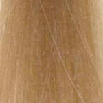 L'Oréal Professionnel Majirel High Lift 901S