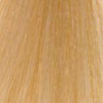 REDKEN  Shades EQ  09G Vanilla Cream Gold 60ML