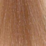 Can the name change?