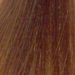 REDKEN  Shades EQ  04WG Sun Tea Warm Gold 60ML