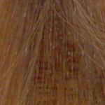 REDKEN Shades EQ  06GB Toffee Gold/Beige  60ML