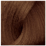 L'Oréal Professionnel INOA 6.31 Warm 60gr Tube