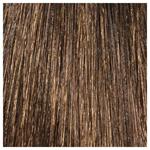 L'Oréal Professionnal Dialight 6.13