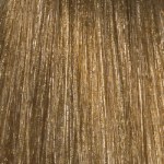 L'Oréal Professionnel DiaRichesse 8.3
