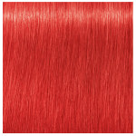 Schwarzkopf Professional Igora Royal Permanent Cream 0.88 Red Concentrate