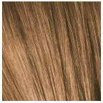 Schwarzkopf Professional Igora Color 10 Permanent Cream 7-5 Medium Blonde Gold