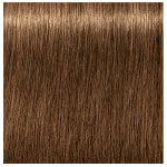 Schwarzkopf Professional Igora Royal Absolutes 7-50 Medium Blonde Gold Natural