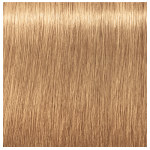 Schwarzkopf Professional Igora Royal Absolutes Age Blend 9-560 Extra Light Blonde Gold Chocolate