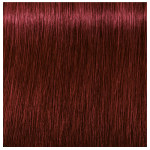 Schwarzkopf Professional Igora Royal Permanent Cream 5.88 Light Brown Red Extra