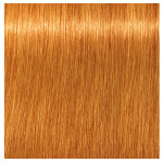Schwarzkopf Professional Igora Vibrance 9.7 Light Blonde Copper 60g