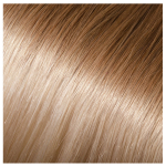 Babe Fusion Hair Extensions 18in Straight Louise (Color 12/60)