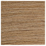 Redken Color Gels Lacquers 10N Cafe Cream Latte 60ml