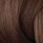 Redken Shades EQ Bonder Inside Gloss 06NCH Ganache 60ml