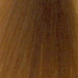 REDKEN  Shades EQ  06WG Mango Warm Gold 60ML