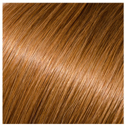 TAPE-IN HAIR 18IN STRAIGHT #27A VERONICA