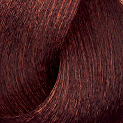 6.23 INOA HIGH RESIST LOREAL