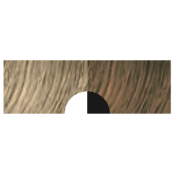 Aveda Full Spectrum Deep Very Light Blonde 9N