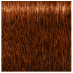 6-70 ABSOLUTES IGORA ROYAL SCHWARZKOPF