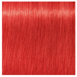 0.88 RED CONCENTRATE IGORA VIBRANCE
