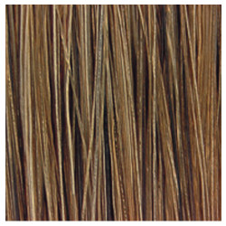 6GB COLOR FUSION GOLD/BEIGE 60ML (NEW)