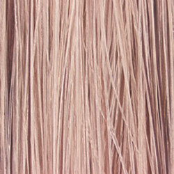 9VG (9.23) COLOR FUSION RESIST (NEW) RED