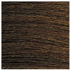 CG 4WG SUN TEA COLOR GELS REDKEN