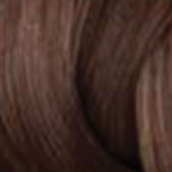 Redken Shades EQ Bonder Inside Gloss 06NCH Ganache 60ml