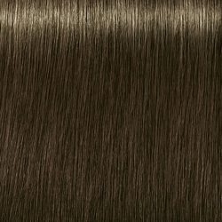 Igora Royal 6-31 Dark Blonde Cendre